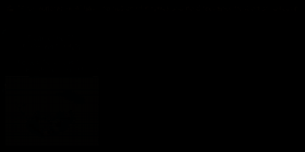 DiffuseBot: Breeding Soft Robots With Physics-Augmented Generative Diffusion Models