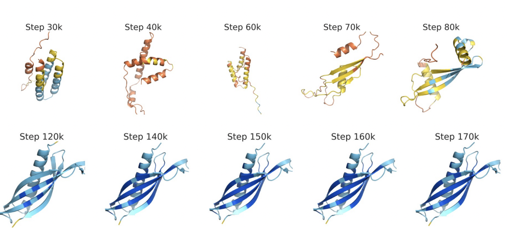 Language Models Generalize Beyond Natural Proteins